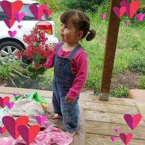 Meet your Posher, Mabel